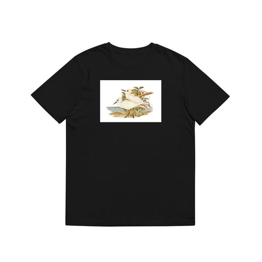 Vintage Tern and Seascape T-Shirts